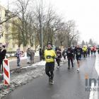zdjęcie nr 302