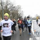 zdjęcie nr 237