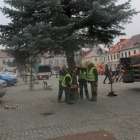 zdjęcie nr 8