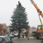 zdjęcie nr 7