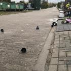 zdjęcie nr 22