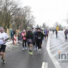 zdjęcie nr 261
