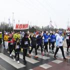 Fotka nr 5 z 23