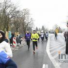 zdjęcie nr 233
