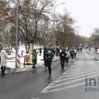 zdjęcie nr 499