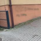 Fotka nr 1 z 3