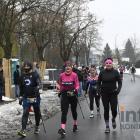 zdjęcie nr 457