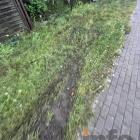 Fotka nr 2 z 5
