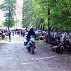 zdjęcie nr 9
