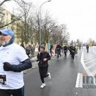 zdjęcie nr 243