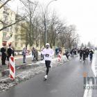 zdjęcie nr 339