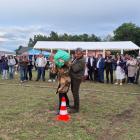 zdjęcie nr 124