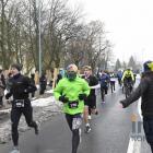 zdjęcie nr 169