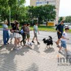 zdjęcie nr 14