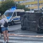 Fotka nr 2 z 4