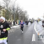 zdjęcie nr 253