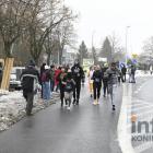 zdjęcie nr 404
