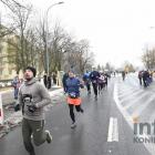 zdjęcie nr 291