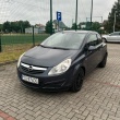 zdjęcie nr 