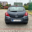 zdjęcie nr 