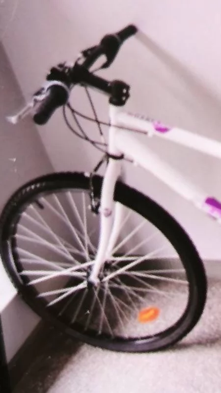 Kradzież przy ul. Wyszyńskiego w Koninie. Z piwnicy zniknął rower MTB Rockrider 300 i narzędzia