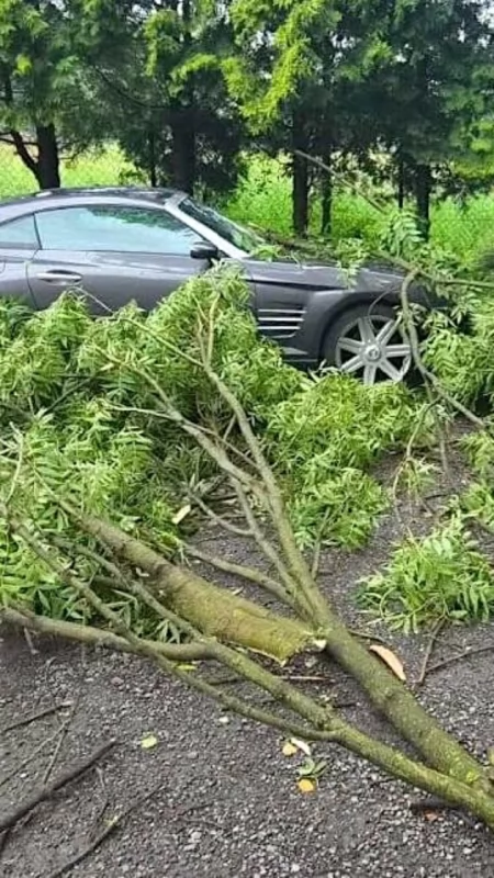 Burzowa noc w powiecie konińskim. Strażacy interweniowali już 12 razy