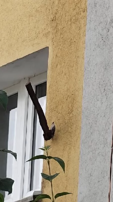 „Boimy się wyjść z domu. Siekiera wbiła się w elewację bloku” – dramatyczny apel mieszkańców Konina