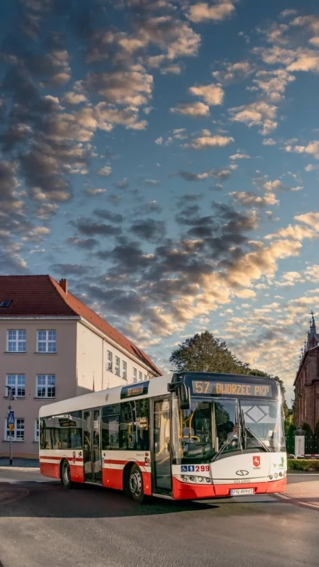 Dziś MZK Konin za darmo. Wsiadasz do autobusu i jedziesz bez biletu