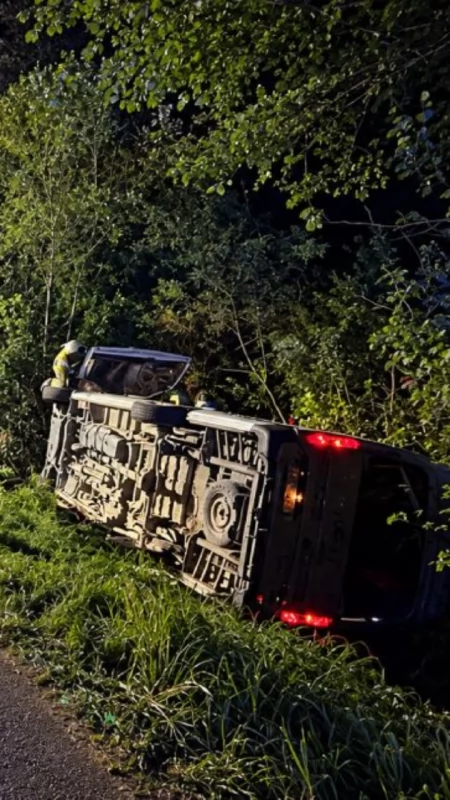 Sarna wbiegła przed Mercedesa. Sprinter przewrócił się do rowu w Kolnie
