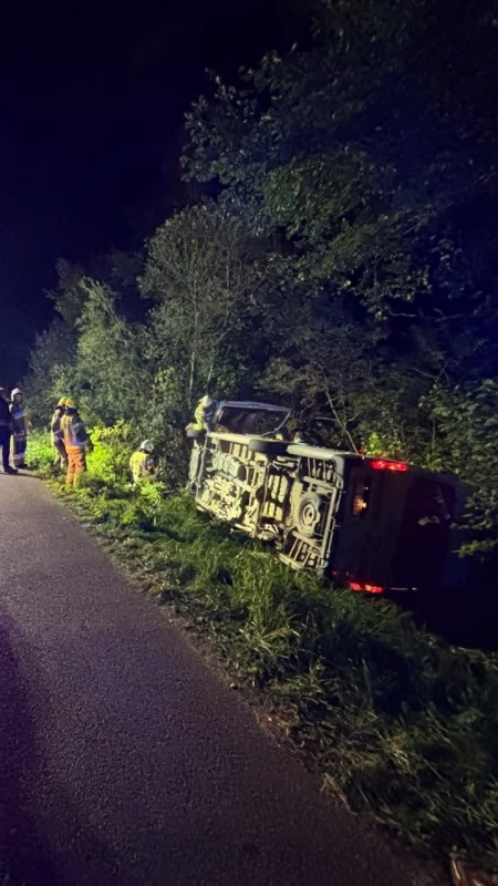 Sarna wbiegła przed Mercedesa. Sprinter przewrócił się do rowu w Kolnie