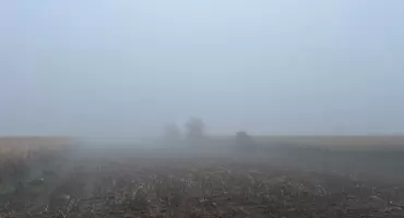 Gęste mgły w regionie konińskim! Kierowcy, zachowajcie ostrożność
