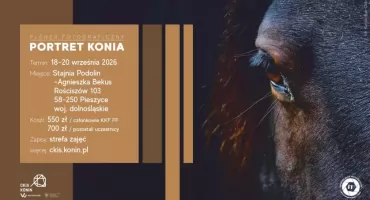 Plener fotograficzny PORTRET KONIA