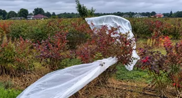 Tajemniczy obiekt spadł na plantację borówek w gminie Kramsk? Od rana służby w gotowości