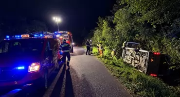 Sarna wbiegła przed Mercedesa. Sprinter przewrócił się do rowu w Kolnie