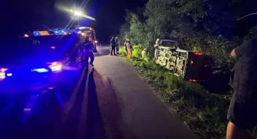 Sarna wbiegła przed Mercedesa. Sprinter przewrócił się do rowu w Kolnie